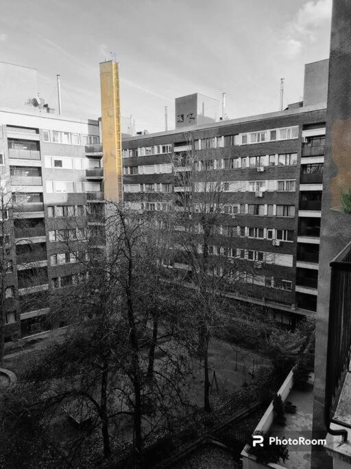 부다페스트 Danube Dwelling Asboth 19-2 아파트 외부 사진